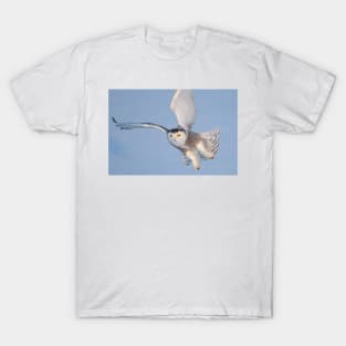 Snowy Owl in flight T-Shirt